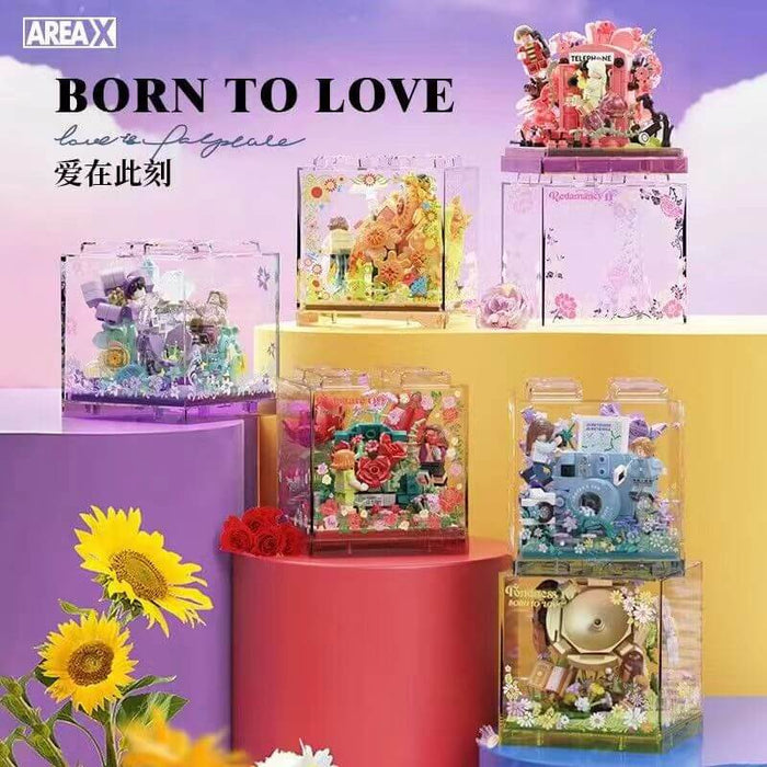 Area-X BOX Born to Love