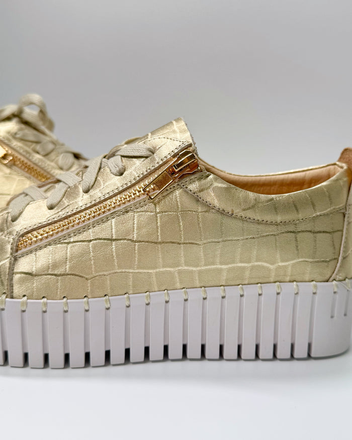 Bump (Gold Matt Croc)