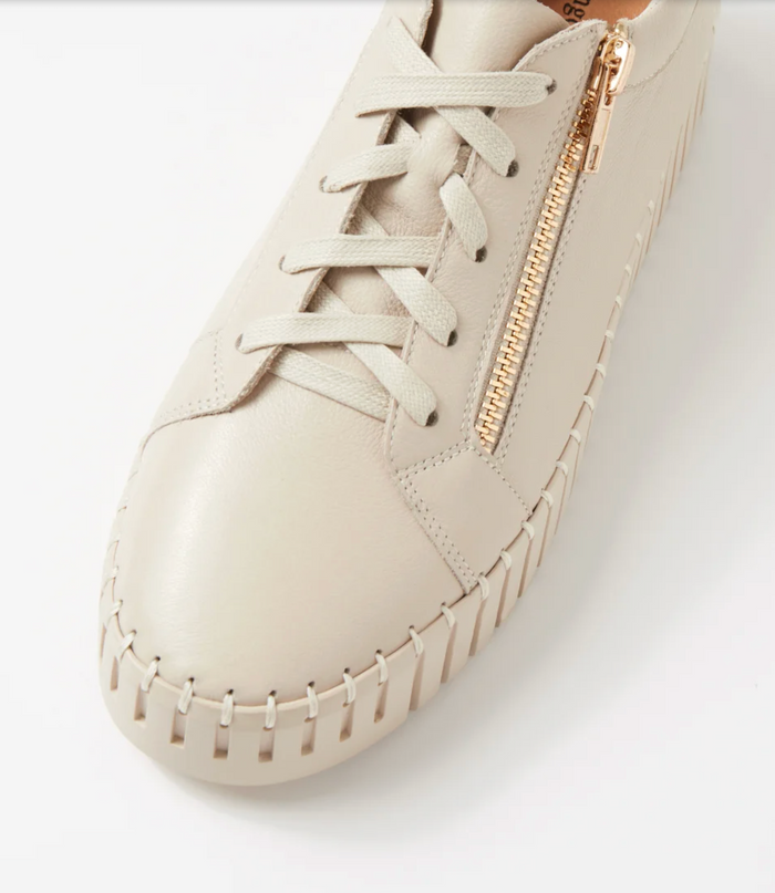 Women's Beige Sneaker with Gold Zip | Gretel Lane