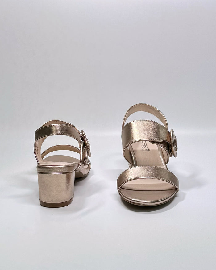Cassin (Champagne)