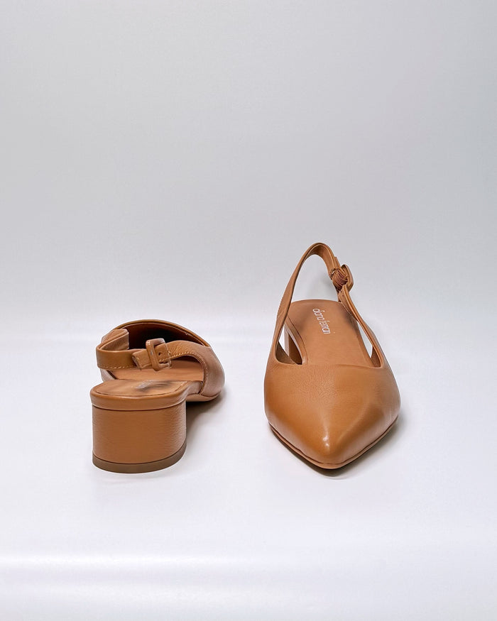 Claytin (Dk Tan)