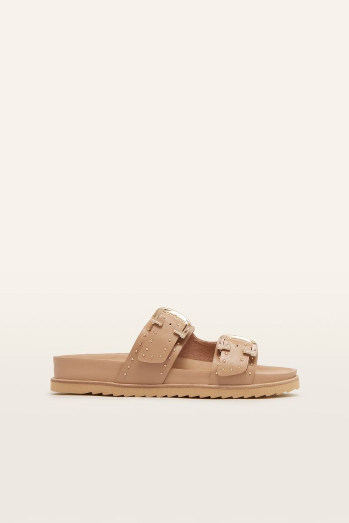 Deon (Camel Stud)