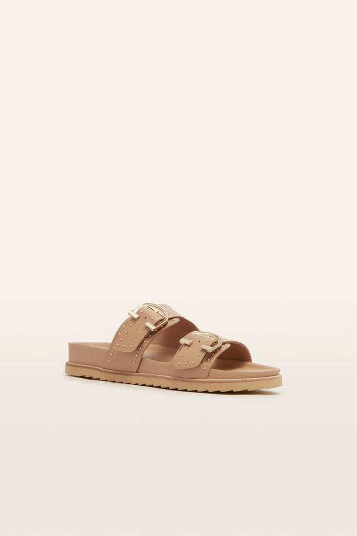 Deon (Camel Stud)