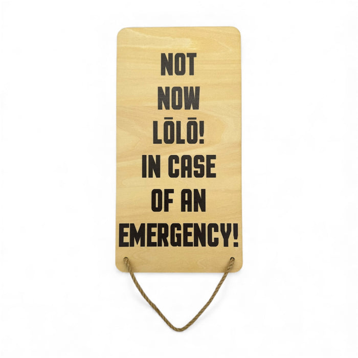 EMERGENCY VERTICAL WOOD SIGN