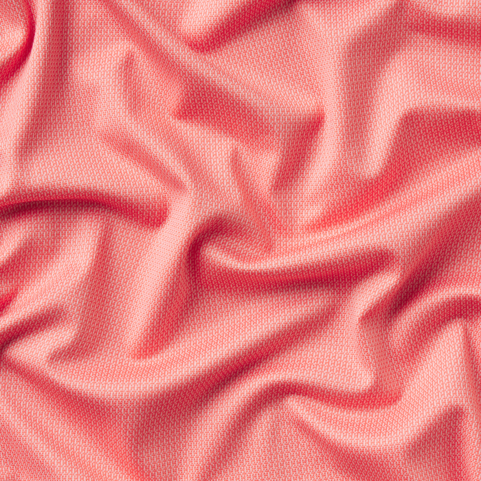 Coral | Zoom
