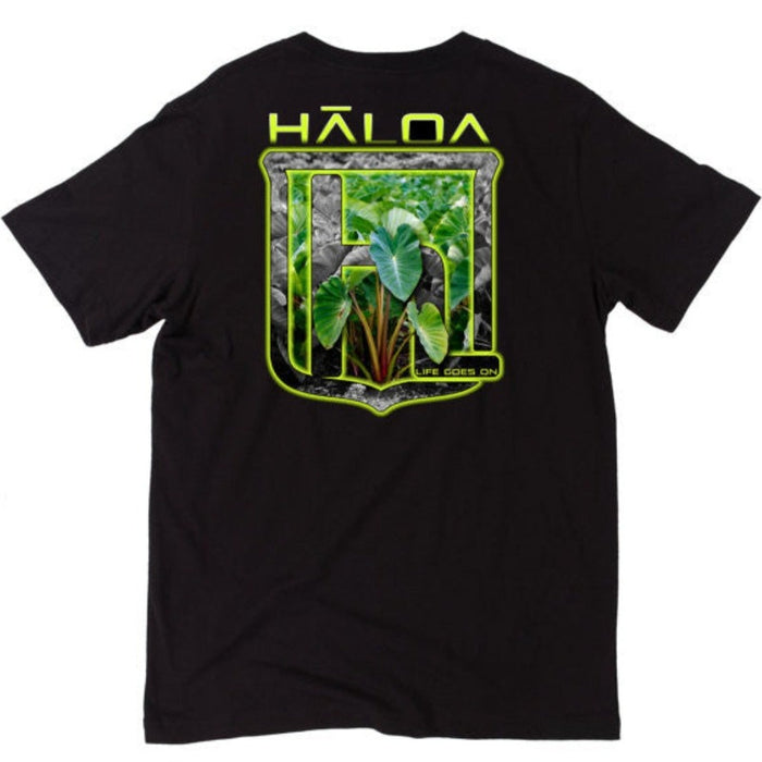 HALOA