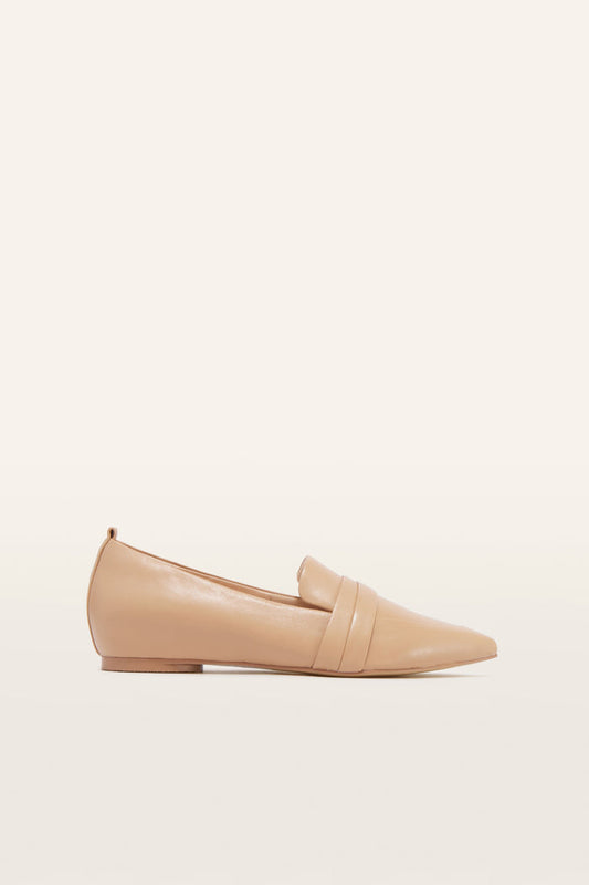 Harlow (Camel)