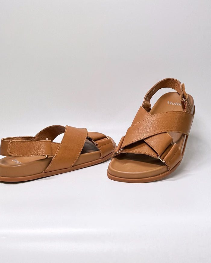 Haylow (Dark Tan)