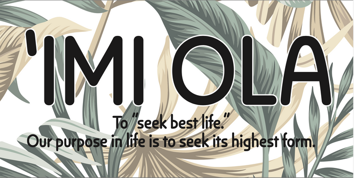 IMI OLA WOOD SIGN
