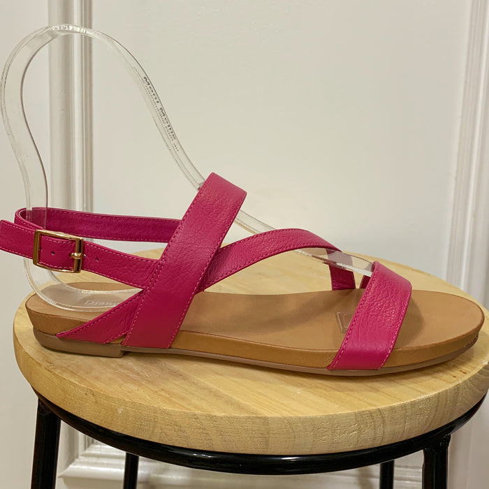 Jiana (Fuchsia)
