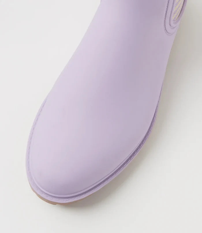 Laurina2 (Lilac Stripe)