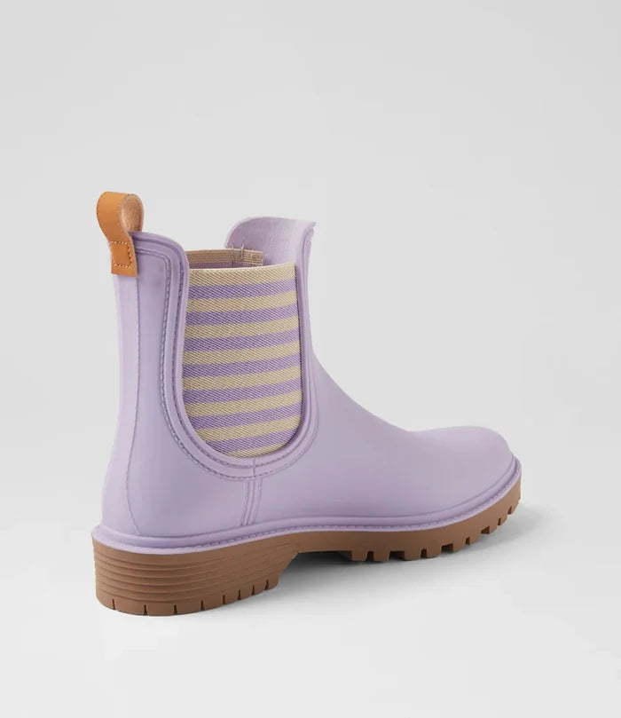 Laurina2 (Lilac Stripe)