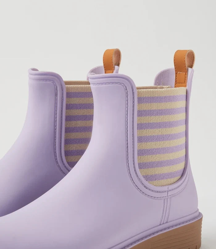 Laurina2 (Lilac Stripe)