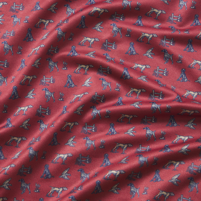 Rhubarb Pointer | Details