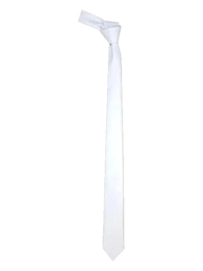 Men's Satin Plain Neck Ties - thefancydress.co.uk