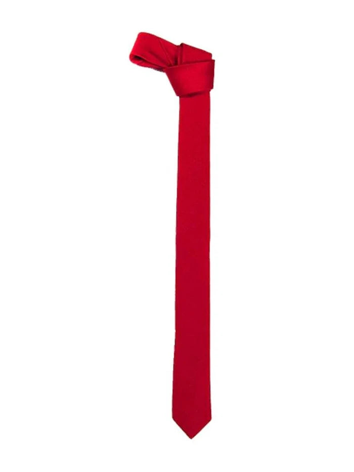 Men's Satin Plain Neck Ties - thefancydress.co.uk