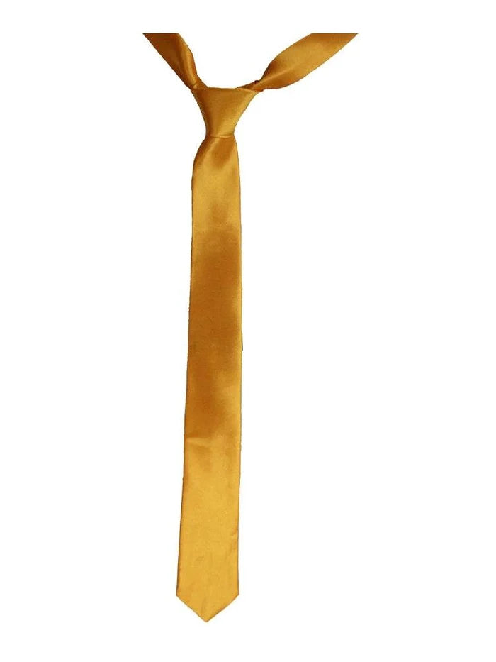 Men's Satin Plain Neck Ties - thefancydress.co.uk