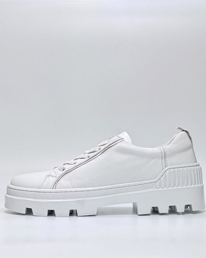 Palladium (White)
