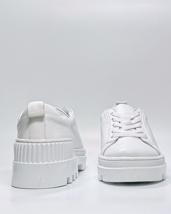 Palladium (White)