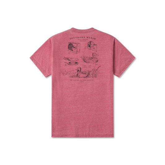Rhubarb