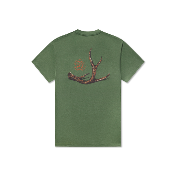 Dark Fern