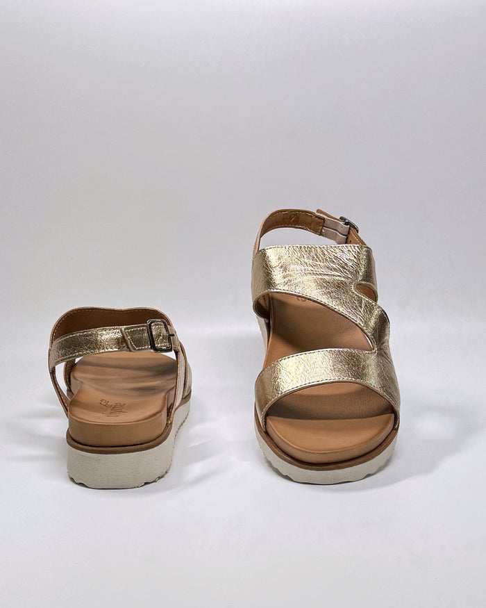 Tromp (Gold)