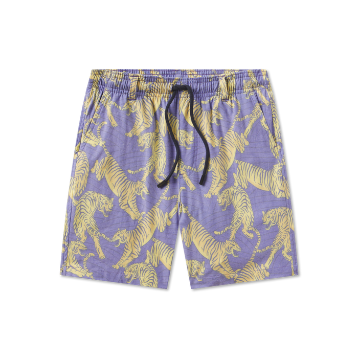 Purple & Yellow Tiger