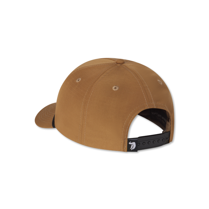 Camel | Back