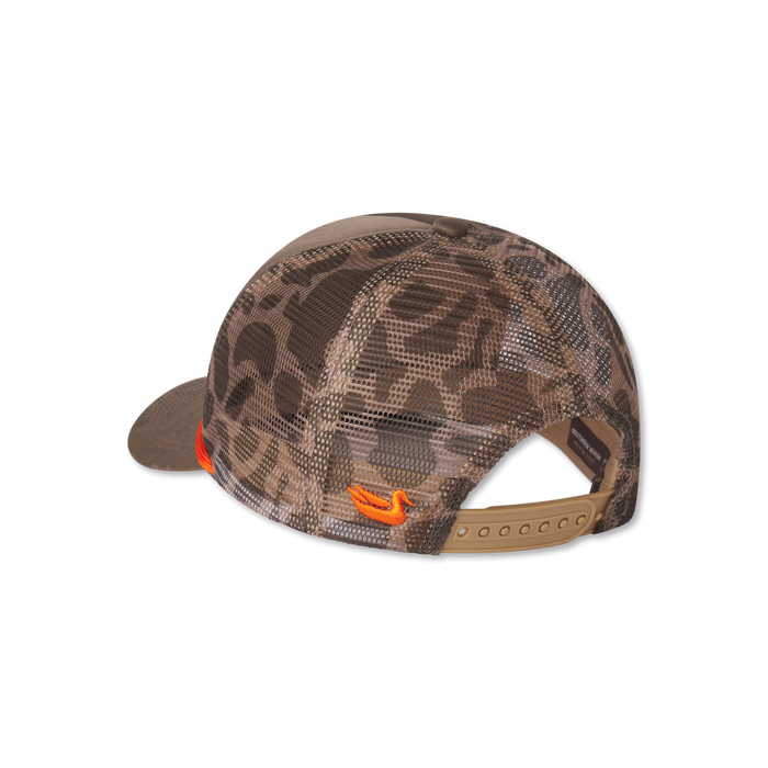 Light     Brown | Back