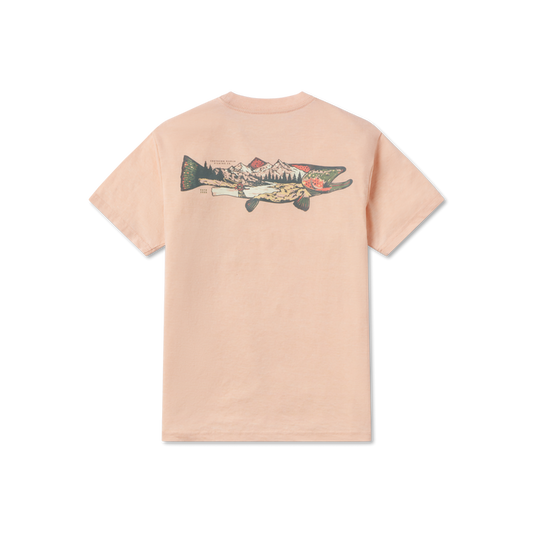 Terracotta