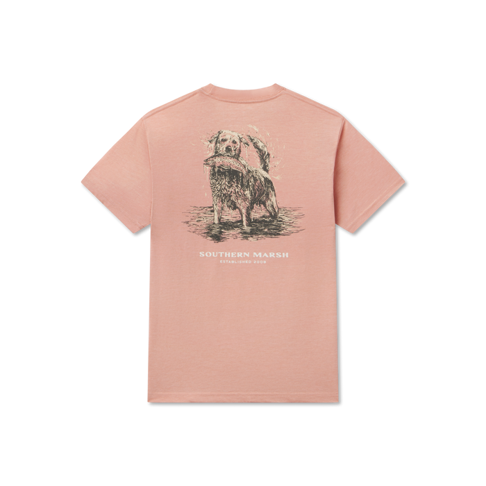 Salmon