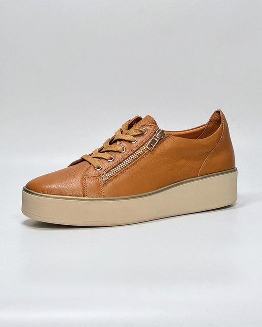 Zissy (Dk Tan-Milk)