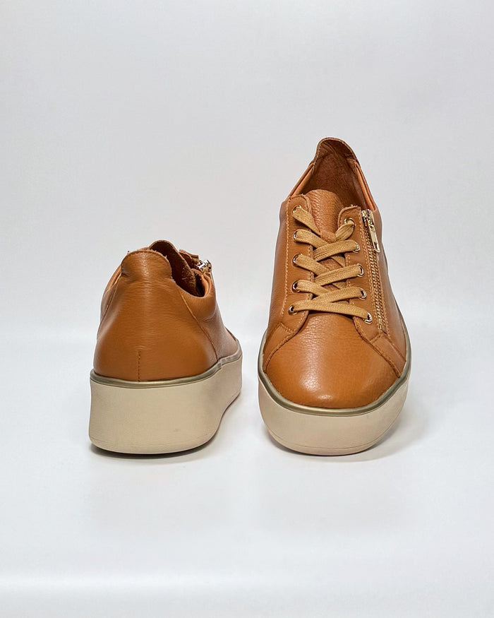Zissy (Dk Tan-Milk)