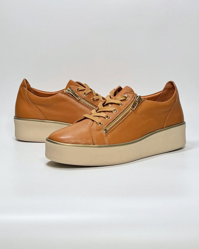 Zissy (Dk Tan-Milk)
